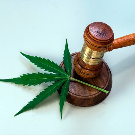 cannabis-law